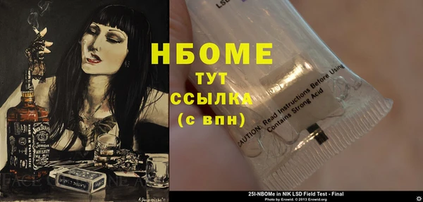 сатива Корсаков