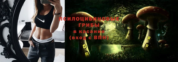 амф Коряжма