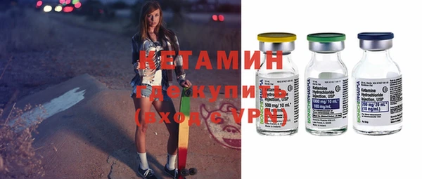 сатива Корсаков
