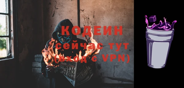 сатива Корсаков