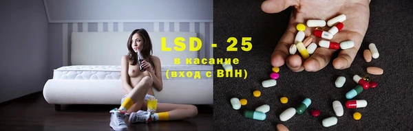 сатива Корсаков
