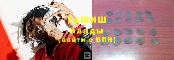 сатива Корсаков