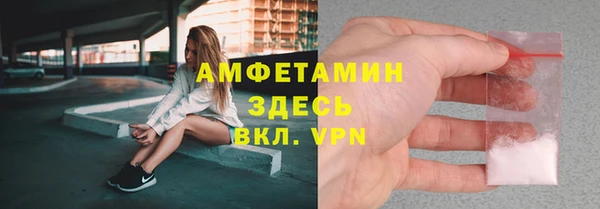 сатива Корсаков