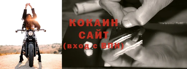 сатива Корсаков