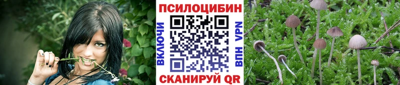 Купить  Арсеньев  Псилоцибиновые грибы прущие грибы 