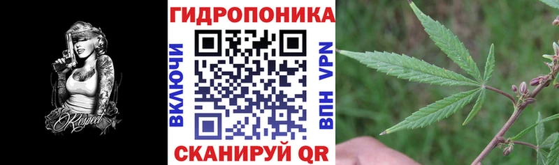 Купить где  Арсеньев  Бошки Шишки Amnesia 